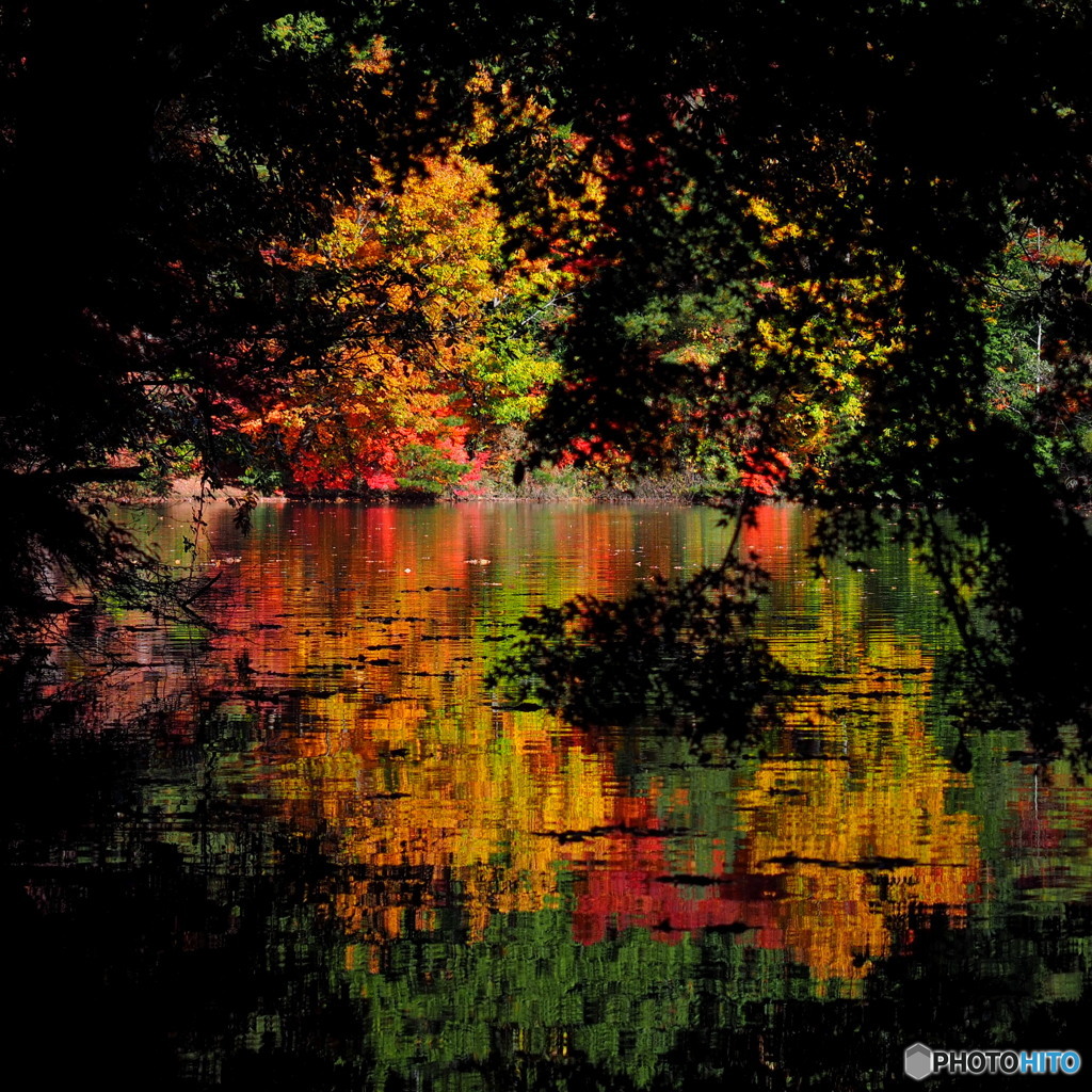 南伊奈ヶ湖_2_20251117