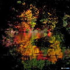 南伊奈ヶ湖_2_20251117