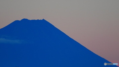 蒼