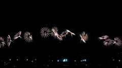 赤川花火大会_20230819