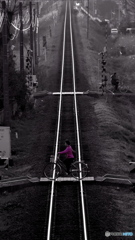 crossing