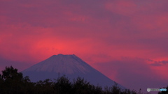 紅い富士山_20231019