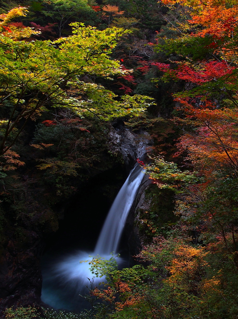 錦秋の秘瀑（縦）