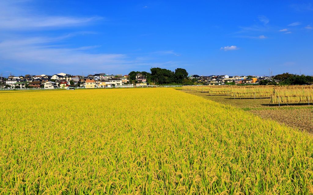 現風景