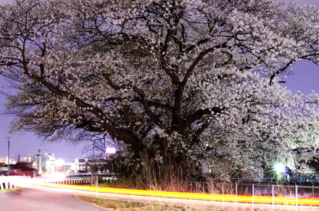 帰り道