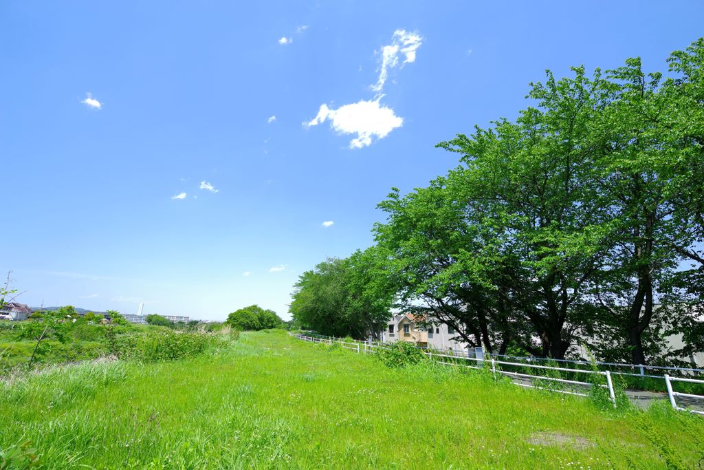 何気ない風景