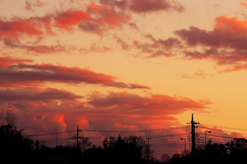 今日の夕景