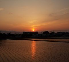 今日の夕景