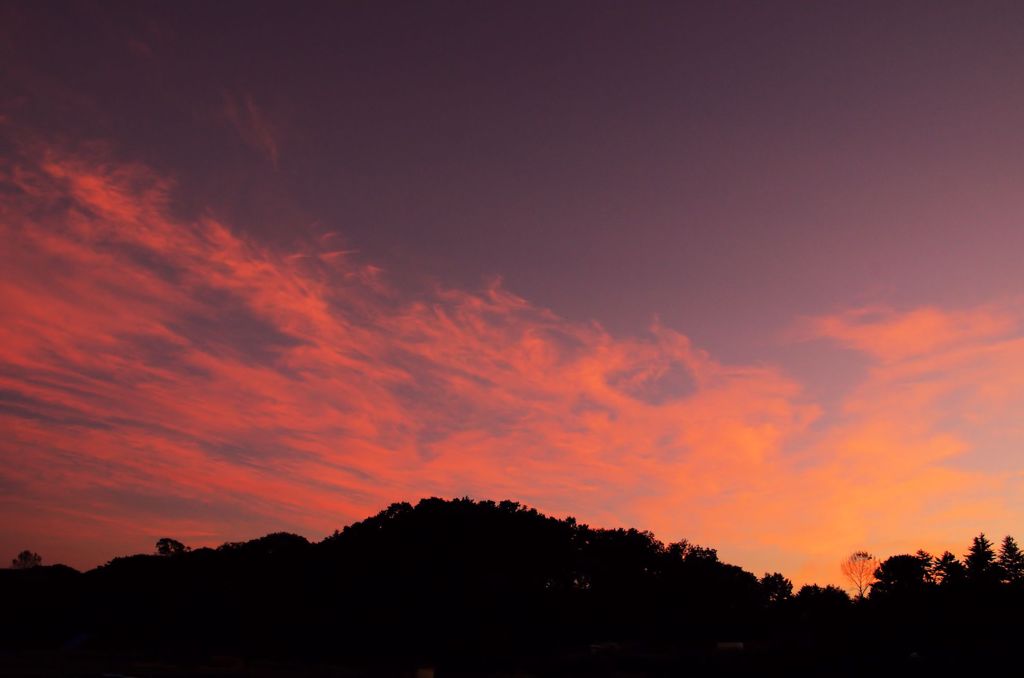 今日の夕景