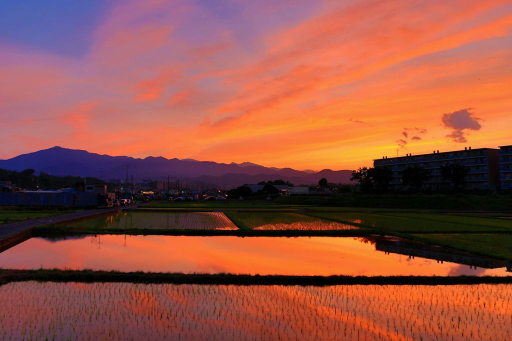 今日の夕景