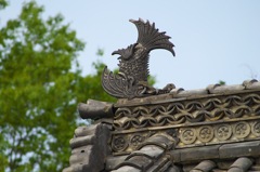 鯱