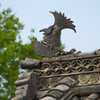 鯱