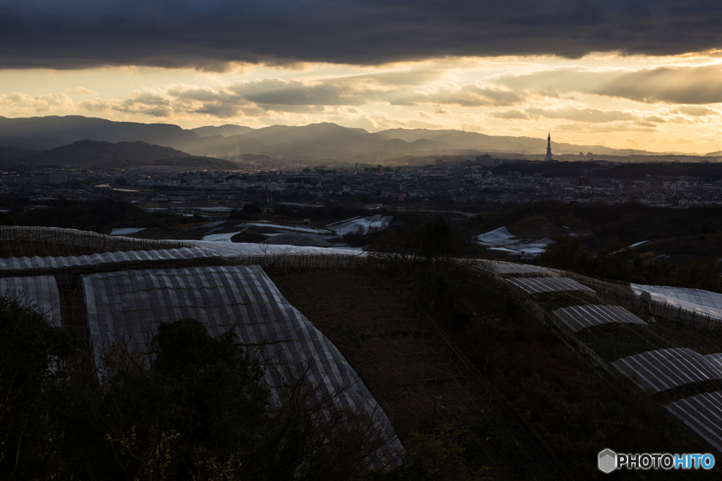 羽曳野中央霊園の夕景<1>