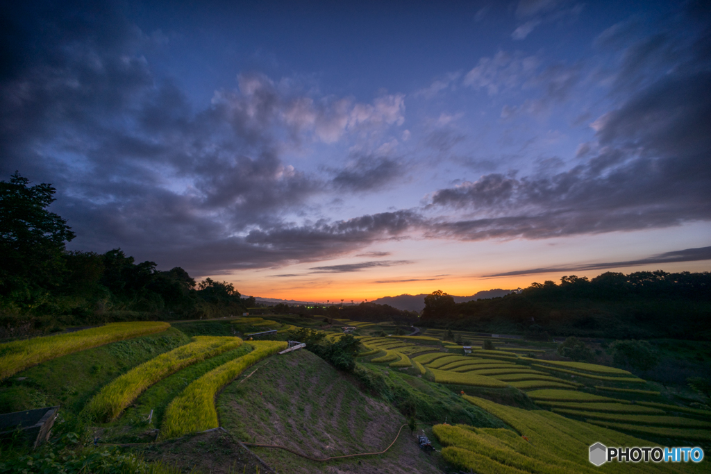 棚田夕景<6>