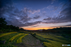棚田夕景<6>