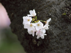 20120609