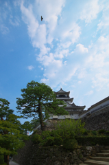 高知城