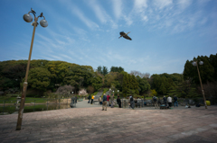 こっちもなかなかですよ