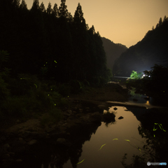 ホタルを探しに<1>