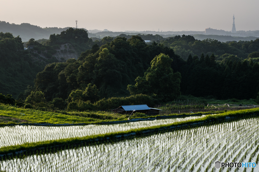下赤坂の棚田風景<2>