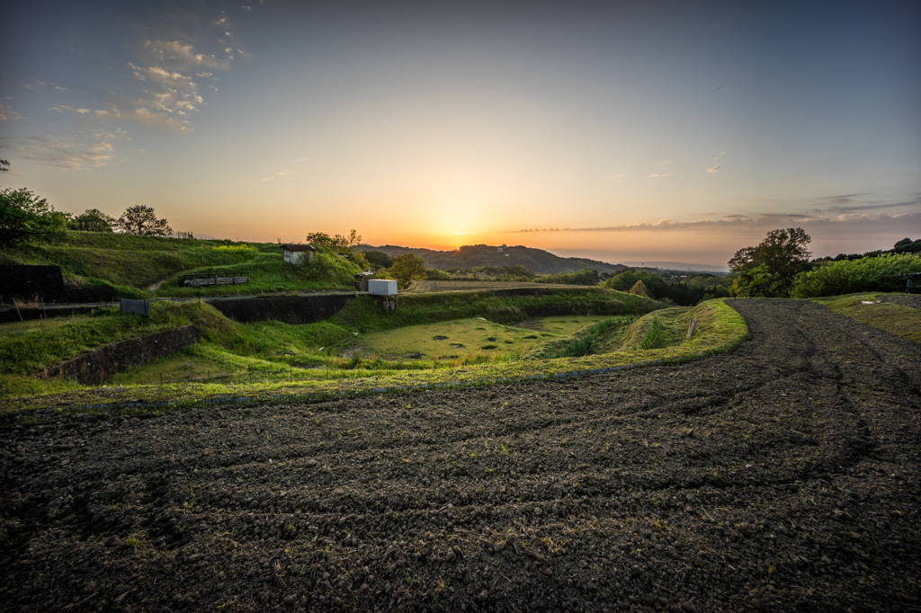 棚田夕景