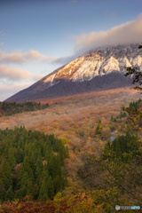大山の紅葉<2>