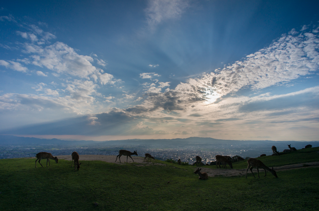 若草山の日常<1>