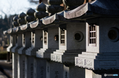 壷阪寺<4>