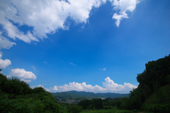 丘より飛鳥を望む 丘より飛鳥を望む