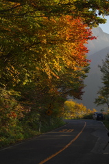 大山の秋<その3>　鍵掛峠の近く