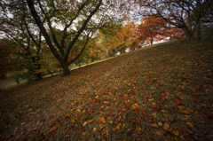 古室山古墳の紅葉<10>