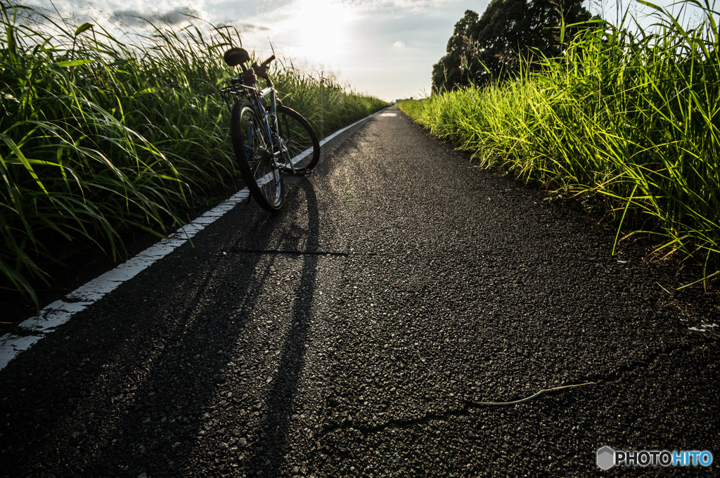 自転車道