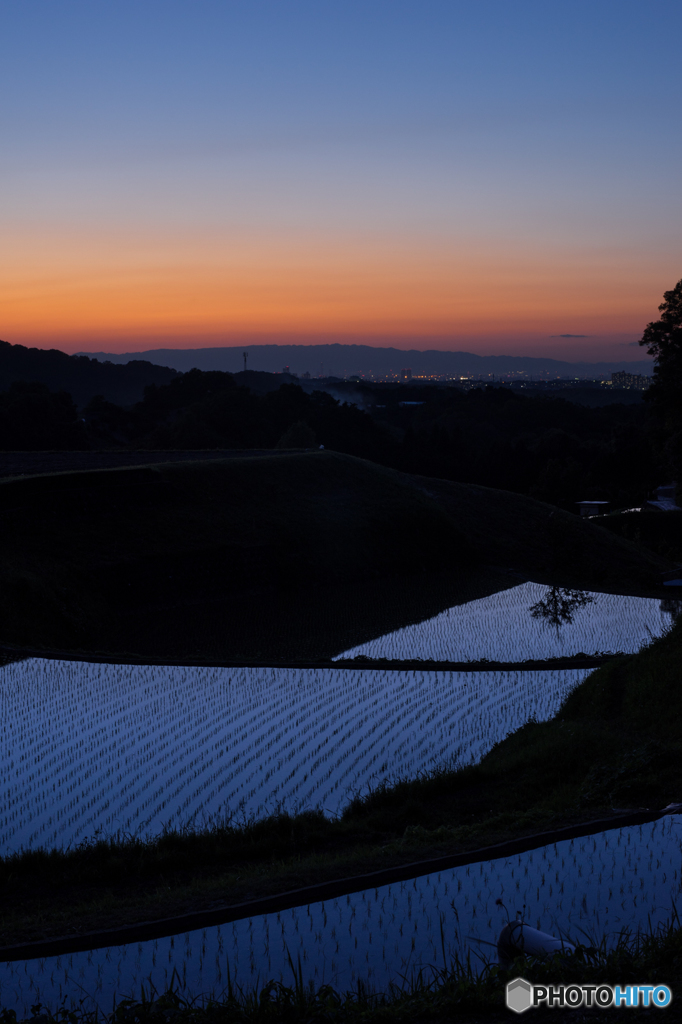 夕暮れの棚田<1>