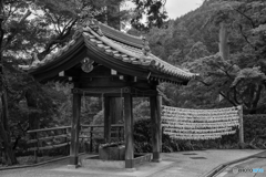 善峯寺<4>
