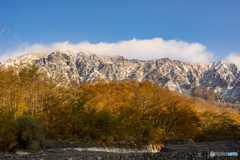 大山の紅葉<6>