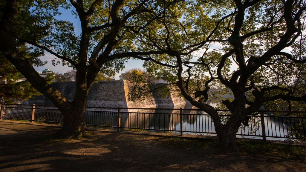 大阪城公園の朝<2>