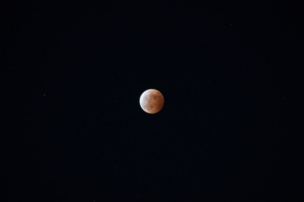 今更ですが・・・