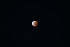 今更ですが・・・