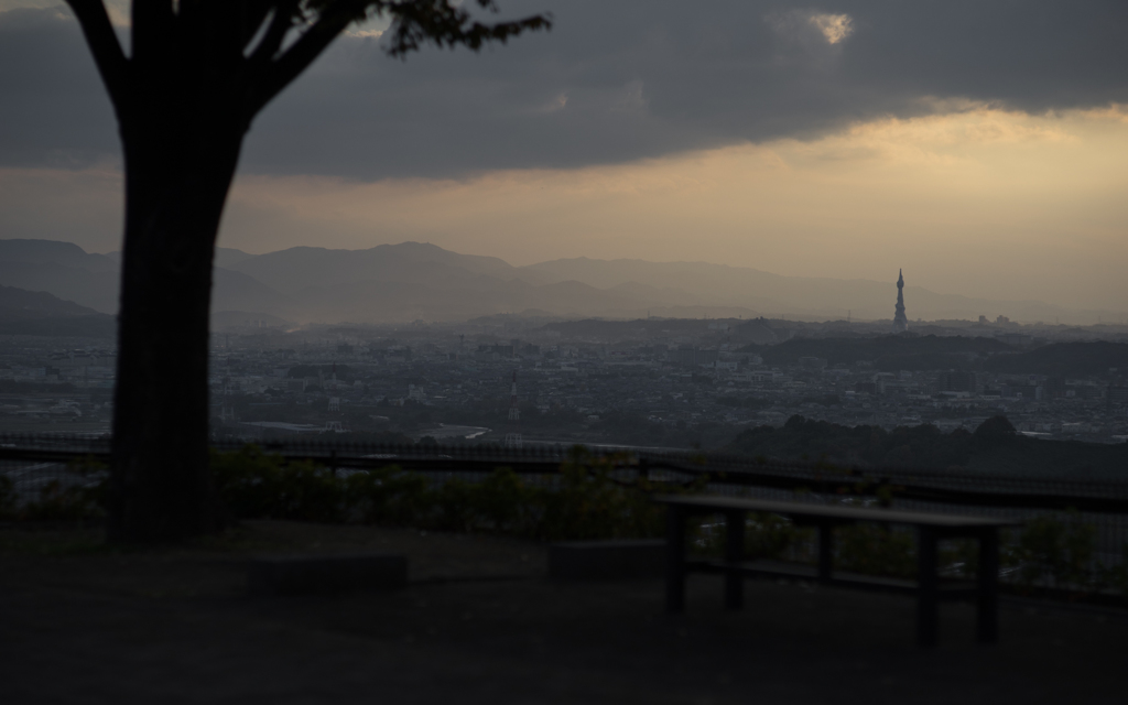 南河内を望む