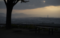 南河内を望む