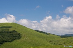 秋吉台の風景<2>