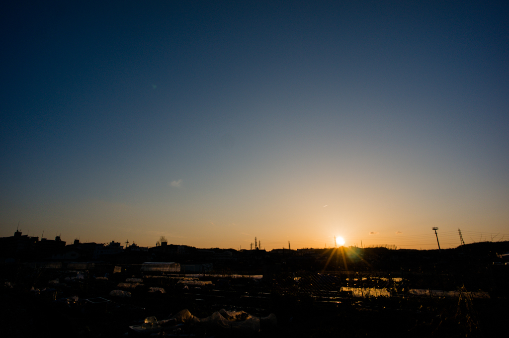 夕日に照らされ