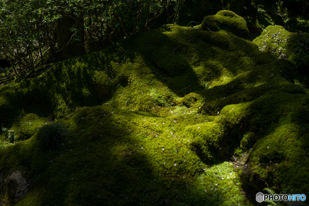 石山寺<1>