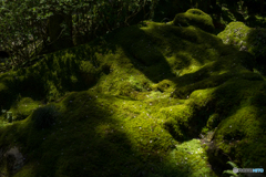石山寺<1>