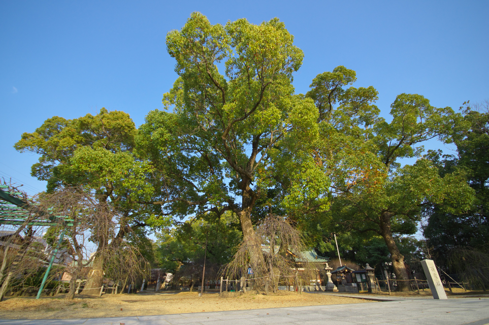 屯倉神社