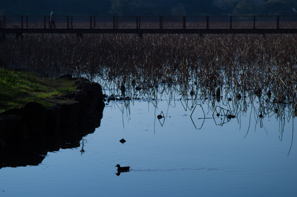 それぞれの午後