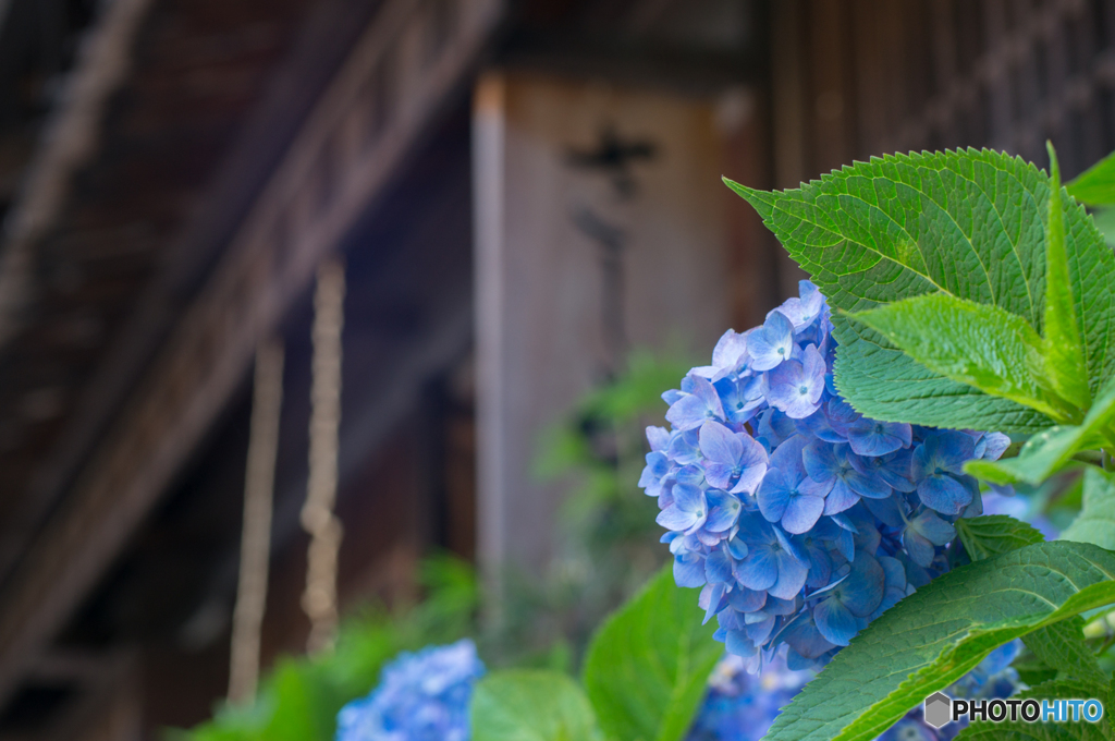 妻籠宿をぶらり<8>