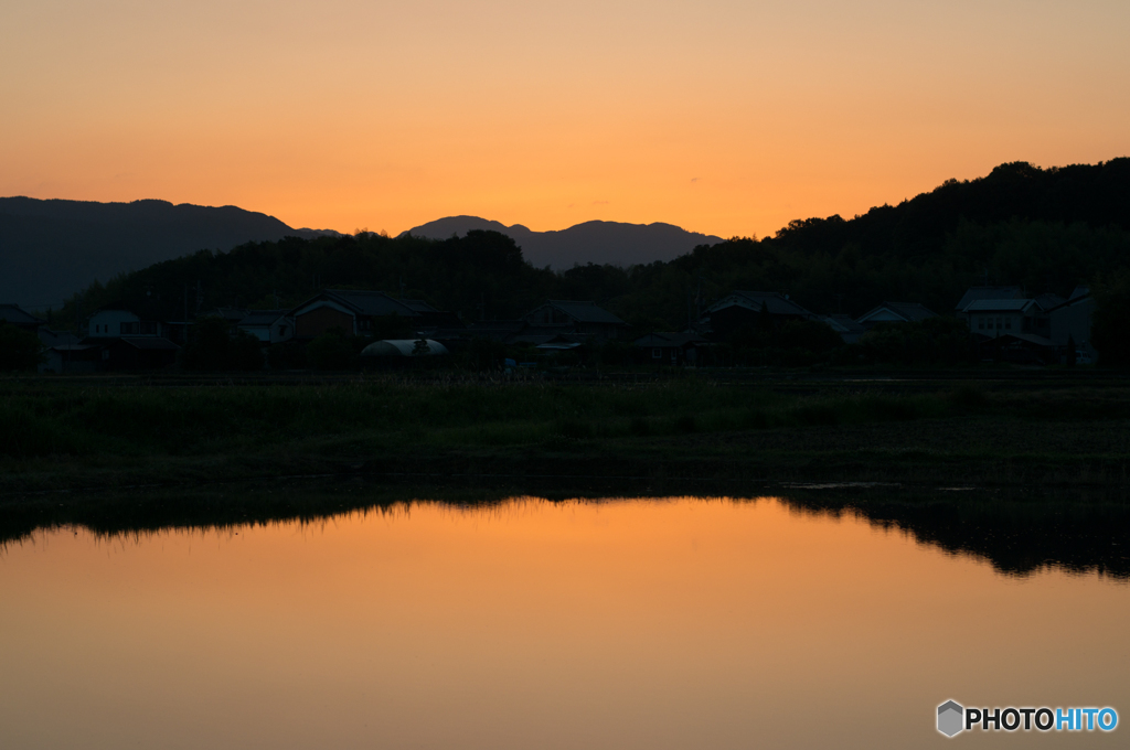 ため池の朝