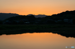 ため池の朝