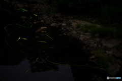 ホタルを探しに<3>